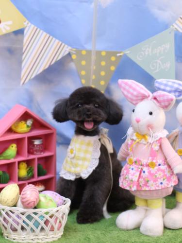 20240319ラテくん